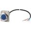 Indicator light, Flat, Cable (black) with non-terminated end, 4 pole, 3.5 m, Lens Blue, LED Blue, 24 V AC/DC thumbnail 2