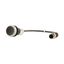 Pushbutton, Flat, momentary, 1 NC, Cable (black) with M12A plug, 4 pole, 0.5 m, black, Blank, Bezel: titanium thumbnail 15