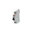 SN201 L-B32 Miniature circuit breaker - 1+NP - B - 32 A thumbnail 2