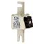 Fuse-link, high speed, 315 A, AC 690 V, DIN 1, 53 x 69 x 138 mm, aR, DIN, IEC, single indicator thumbnail 6