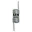 Fuse-link, LV, 10 A, AC 240 V, BS88/E1, 12 x 47 mm, gL/gG, BS thumbnail 6