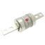 Fuse-link, low voltage, 355 A, AC 660 V, BS88, 62 x 256 mm, gL/gG, BS thumbnail 3