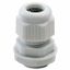 NYLON CABLE GLAND -  PG PITCH 36 - GREY RAL 7035 - IP68 thumbnail 2