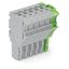 1-conductor female connector Push-in CAGE CLAMP® 4 mm² gray, green-yel thumbnail 1