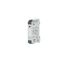 KRA-M4/1, 1 normally open contact (SPST-NO), 230 V AC thumbnail 1