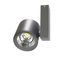 CHLOE  COB LED  230V 28W IP20 24deg  WW CEILING thumbnail 7