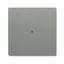 SR-1-803 Electronic Controls free@home grey metallic - 63x63 thumbnail 1