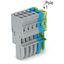 1-conductor female connector CAGE CLAMP® 4 mm² gray/blue/green-yellow thumbnail 2