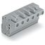 1-conductor female connector, angled CAGE CLAMP® 2.5 mm² gray thumbnail 5