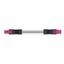 pre-assembled interconnecting cable Socket/plug 3-pole pink thumbnail 1