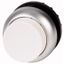 Pushbutton, RMQ-Titan, Extended, momentary, White, Blank, Bezel: titanium thumbnail 1