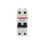 S202P-C13 Miniature Circuit Breaker - 2P - C - 13 A thumbnail 5