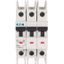 Miniature circuit breaker (MCB), 50 A, 3p, characteristic: B, NA thumbnail 2