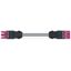 pre-assembled interconnecting cable B2ca Socket/plug pink thumbnail 2