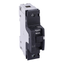 Miniature circuit-breaker, Acti9 NG125H, 1P, 20 A, D curve, 36 kA (IEC 60947-2) thumbnail 3