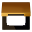 Centre plate with hinged lid LS990KLGGO thumbnail 12