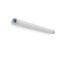 PLANOX TUBE, 39 W, 5350 lm, 840, white, on/off Tube luminaires, Damp-p thumbnail 1