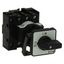 On-Off switch, P1, 40 A, rear mounting, 3 pole + N, with black thumb grip and front plate thumbnail 9