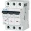 Miniature circuit breaker (MCB), 4 A, 3p, characteristic: C, 6 kA thumbnail 5