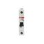 S201P-K63 Miniature Circuit Breaker - 1P - K - 63 A thumbnail 4