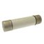 Oil fuse-link, medium voltage, 100 A, AC 3.6 kV, BS2692 F01, 254 x 63.5 mm, back-up, BS, IEC, ESI, with striker thumbnail 3