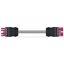 pre-assembled interconnecting cable B2ca Socket/plug pink thumbnail 1