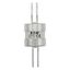 Utility fuse-link, LV, 315 A, AC 415 V, BS88/J, 38 x 110 mm, gL/gG, BS, 82mm fixing centres thumbnail 20