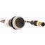 Pushbutton, Flat, momentary, 1 NC, Cable (black) with M12A plug, 4 pole, 0.5 m, black, Blank, Bezel: titanium thumbnail 4