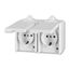 5518-3069 B Double socket outlet with earthing contacts, with hinged lids, for multiple mounting ; 5518-3069 B thumbnail 1