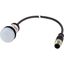 Indicator light, Flat, Cable (black) with M12A plug, 4 pole, 1 m, Lens white, LED white, 24 V AC/DC thumbnail 5