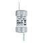 Fuse-link, low voltage, AC 415 V, BS88/F2, 18 x 59 mm, gM, BS thumbnail 6