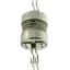 Utility fuse-link, low voltage, 32 A, AC 415 V, BS88/J, 38 x 101 mm, gL/gG, BS thumbnail 3