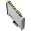 2-channel analog input For Pt100/RTD resistance sensors Adjustable - thumbnail 1