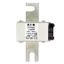 Fuse-link, high speed, 900 A, AC 1250 V, size 3, 76 x 92 x 139 mm, aR, DIN, IEC, single indicator thumbnail 2