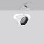 GOLAS mini, 29 W, 3000 lm, 940, white, on/off Recessed projectors, D 1 thumbnail 2