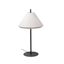 SAIGON OUT FLOOR LAMP 1M T70 BEIGE thumbnail 1