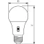 CorePro Plastic LEDbulbs -  LED-lamp/Multi-LED -  Power Consumption: 8 W -  Energy Efficiency Class: F thumbnail 2