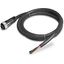 MB-Power-cable, IP67, 2 m, 4 pole, Prefabricated with 7/8z plug and 7/8z socket thumbnail 4