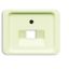 1803-22G CoverPlates (partly incl. Insert) carat® ivory thumbnail 1