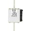 Fuse-link, high speed, 315 A, AC 1250 V, size 2, 61 x 77 x 160 mm, aR, IEC, UL, single indicator thumbnail 20