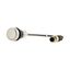 Pushbutton, Flat, momentary, 1 N/O, Cable (black) with M12A plug, 4 pole, 0.5 m, White, Blank, Bezel: titanium thumbnail 6