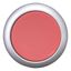 Pushbutton, RMQ-Titan, Flat, maintained, red, Blank, Bezel: titanium thumbnail 11