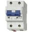 High Current Miniature Circuit Breaker C 100/2, 10kA thumbnail 1