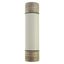 Oil fuse-link, medium voltage, 125 A, AC 3.6 kV, BS2692 F01, 254 x 63.5 mm, back-up, BS, IEC, ESI, with striker thumbnail 7