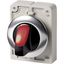Illuminated selector switch actuator, RMQ-Titan, With thumb-grip, momentary, 3 positions, red, Metal bezel thumbnail 2