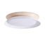 TENDER CEILING LAMP WHITE LED 24W 3000K thumbnail 1