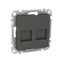 Exxact central plate for 2x Keystone with dust lids anthracite thumbnail 3