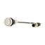 Pushbutton, Flat, momentary, 1 N/O, Cable (black) with M12A plug, 4 pole, 0.2 m, White, Blank, Bezel: titanium thumbnail 15