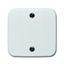 1796-214 CoverPlates (partly incl. Insert) carat® Alpine white thumbnail 2
