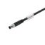 Sensor-actuator Cable (assembled), M8, Number of poles: 5, Cable lengt thumbnail 1